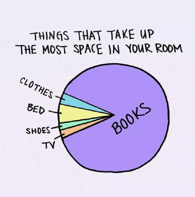 reader meme - books take up space
