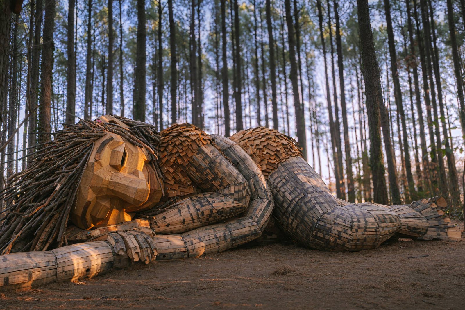 A giant reclaimed wood troll sculpture lying on its side in a pine forest at golden hour